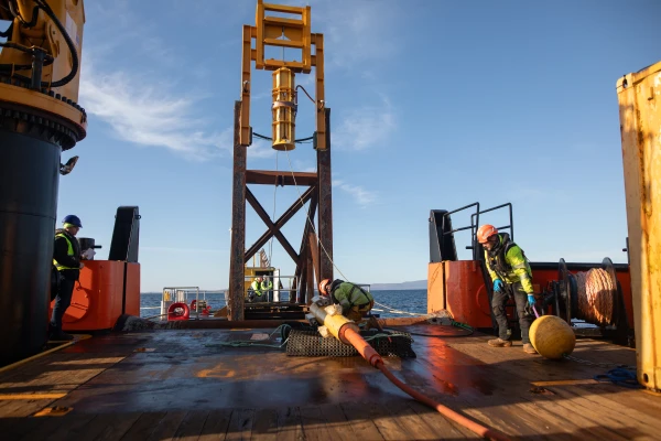 Innovations PALM QCS